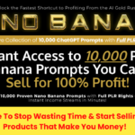 Nano Banana Prompts PLR Review